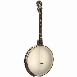 18 Rabatt auf 12 Irisches TenorBanjo mit Tasche inklusive