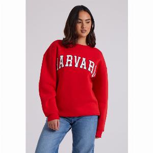 Urban Bliss Harvard Oversized Sweatshirt M