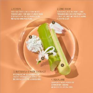 Squalane  Zinc Sheer Mineral Sunscreen