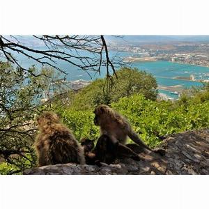 Réduction de 13   Économisez 30  sur la visite de Gibraltar et Mijas depuis Malaga