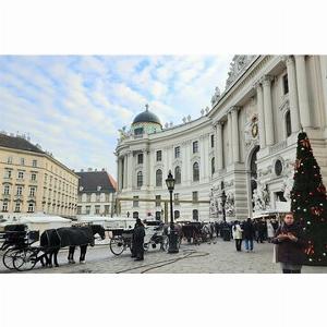 Save 3000 Tour guidato della città di Vienna in Inglese