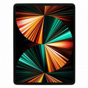 Apple iPad Pro 129 WiFi 2021 512GB argento  Ricondizionato  buono  Grade B
