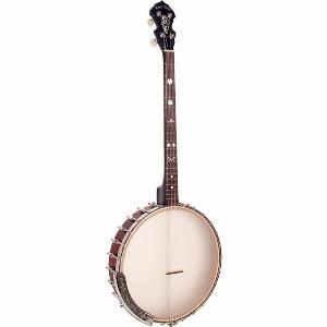 Sichern Sie sich 13 Rabatt auf ein irisches TenorBanjo mit Tasche