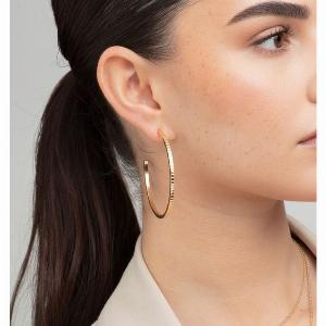 Enjoy a 25 Discount on Shikaku Gold Slim Earrings