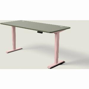 Enjoy 25 Discount on HomePro Desk in Muted Pink or Olive Green 180x80 cm
