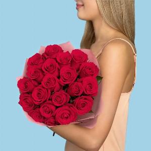 20 Premium Hot Pink Roses
