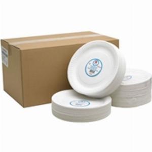 Paper Plate 9 Inch White 100 Pack 0511041