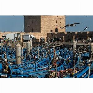 Save 3000  Gita di un giorno da Marrakech a Essaouira Il fascino dellAtlantico