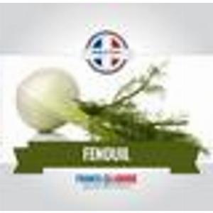Eliquide arôme fenouille 0MG 10ml 50 PG  50 VG fabriqué en France