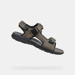 GEOX Spherica EC5 Homme Taupe 7192  après 20  de remise