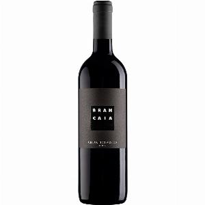 Chianti Classico 2023 Casa Brancaia