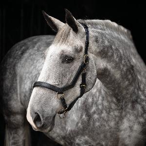 Horseware Rambo Micklem Headcollar Noir