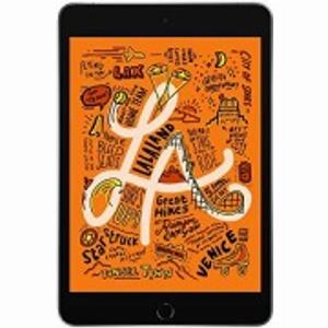 Apple iPad mini 2019 A2133 WiFi 256 Go