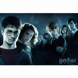 Harry Potter Was 249 Now Only 125  50 Discount Available