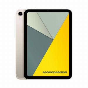 Apple iPad mini 2024 A17 Pro WiFi 256GB lumière stellairegalassia  Ricondizionato  Come nuovo  Grade A