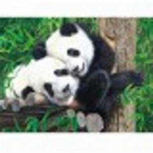 XXL Pieces  Bamboo Buddies