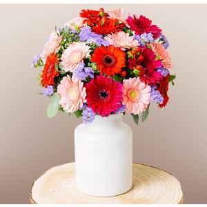 Floraqueen Sconto del 5% su Gerbere Rosa e Rosse Risparmia Subito