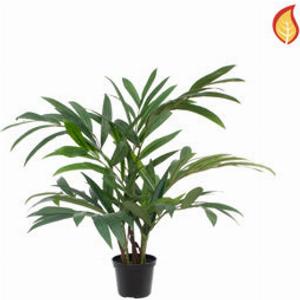 21 Rabatt auf die 45 cm hohe Kunstpalme  Perlok