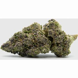 Erhalten Sie 18 Rabatt auf  Blue Zushi Extreme genießen