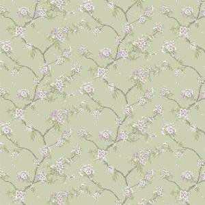 30 Discount on Albany Cherry Blossom Wallpaper 14210