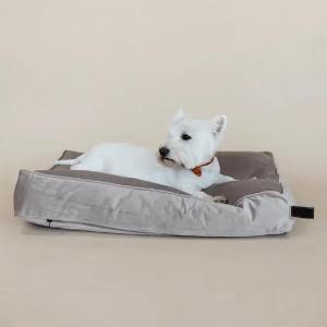 Profitez de 80 de réduction sur le coussin en velours Kentucky Dogwear