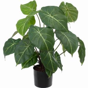 23 Rabatt auf Laika Syngonium  Künstliche Pflanze 58 cm