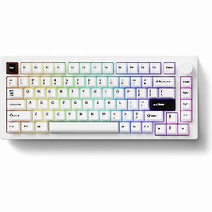 MonsGeek M1 V5  Noir et blanc maintenant à 10499  réduction de 25