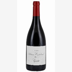 Jetzt 53 sparen Blason Capelviel Syrah Réserve 2024 im Angebot