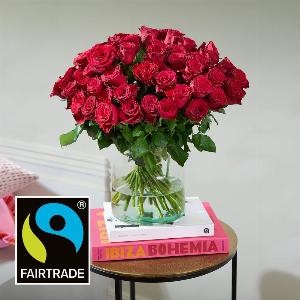 50 Stunning Red Roses for Every Occasion