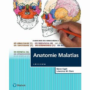 Anatomie Malatlas Jetzt nur 4495  statt 4995  10  Rabatt