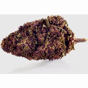 20  Rabatt auf Verführerisches Lila für funky Styles