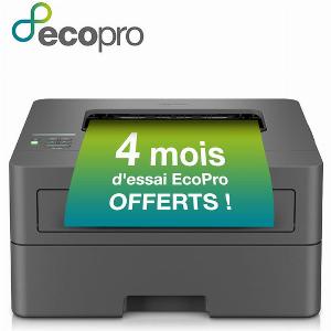 Brother HLL2400DWE imprimante laser 1200 x 1200 DPI A4 Wifi