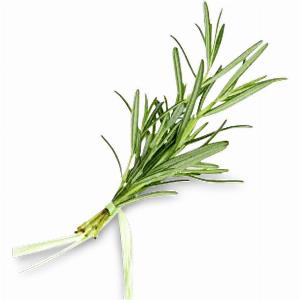 18 Rabatt auf frischen Rosmarin sichern
