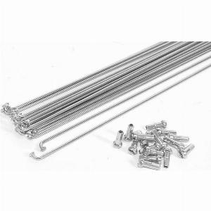 Raggi Bici Acciaio Zincato Argento 295mm x 2mm con Nippli Kit 10 Pezzi Ricambio Ruota Bici Resistenti