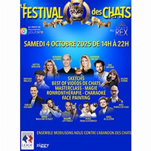 Le festival des chats