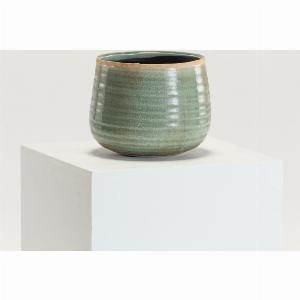 Enjoy 25 Discount on Indoor Iris Mint Pot 8x7 55cm Top Width