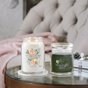 Enjoy 38 Discount on White Spruce and Grapefruit Products