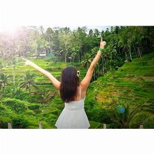 Réduction de 22  Forfait Ubud avec Cascade Temple Tirta Empul et Rizières