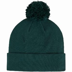 Puma 2026 pom beanie hat  green terrain