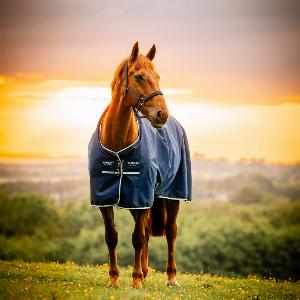 Horseware Amigo Ripstop 900D Pony Turnout 50g