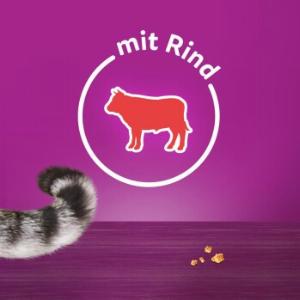 25 Rabatt auf Whiskas Rind Snacks  Knuspertaschen 6x60 g