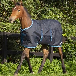 Horseware Amigo Ripstop 900D Foal Turnout 200g