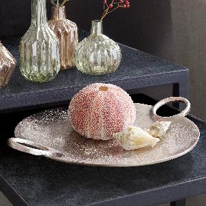 Bénéficiez dune remise de 31 sur le plateau Lacarre maintenant