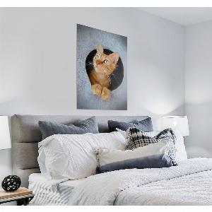 Affiche murale illustrée dun chat en photo