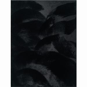 Flauschigerteppich Solina schwarz 160x230 cm