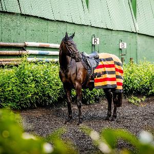 Horseware Newmarket Fleece Cooler