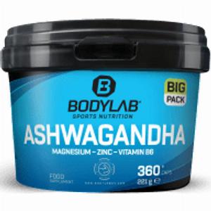 BIG PACK Ashwagandha  Magnesium  Zinc  Vitamin B6 360 Kapseln