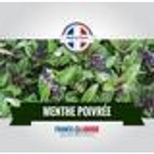 Eliquide arôme Menthe poivrée 0MG 10ml 50 PG  50 VG fabriqué en France