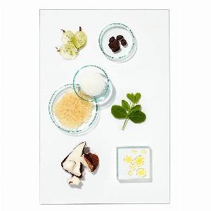 Intensely Gorgeous Bundle Worth 8800