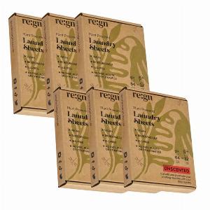 REGN EcoFriendly Laundry Sheets  PlasticFree 384 Loads Now 2499